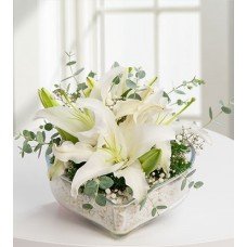 Beyaz Düşler Lilyum arajmanı Beyaz Düşler Lilyum arajmanı