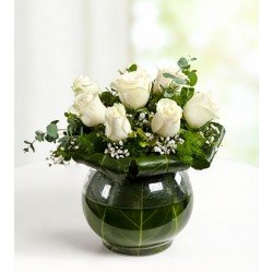 Beyazın Zarafeti 7 Beyaz Güller